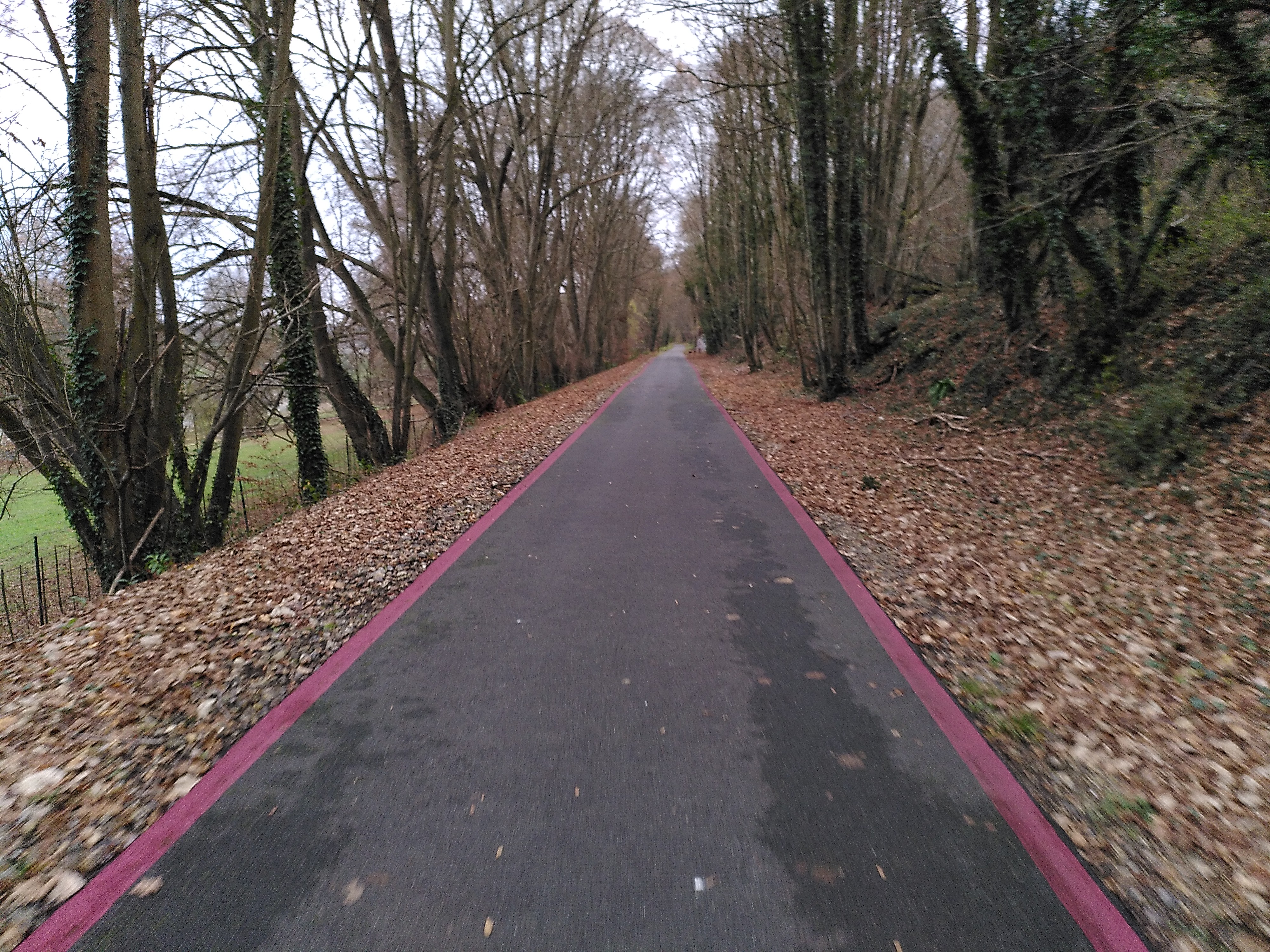 Aperçu de l'itinéraire 11 entre Duclair et Yainville