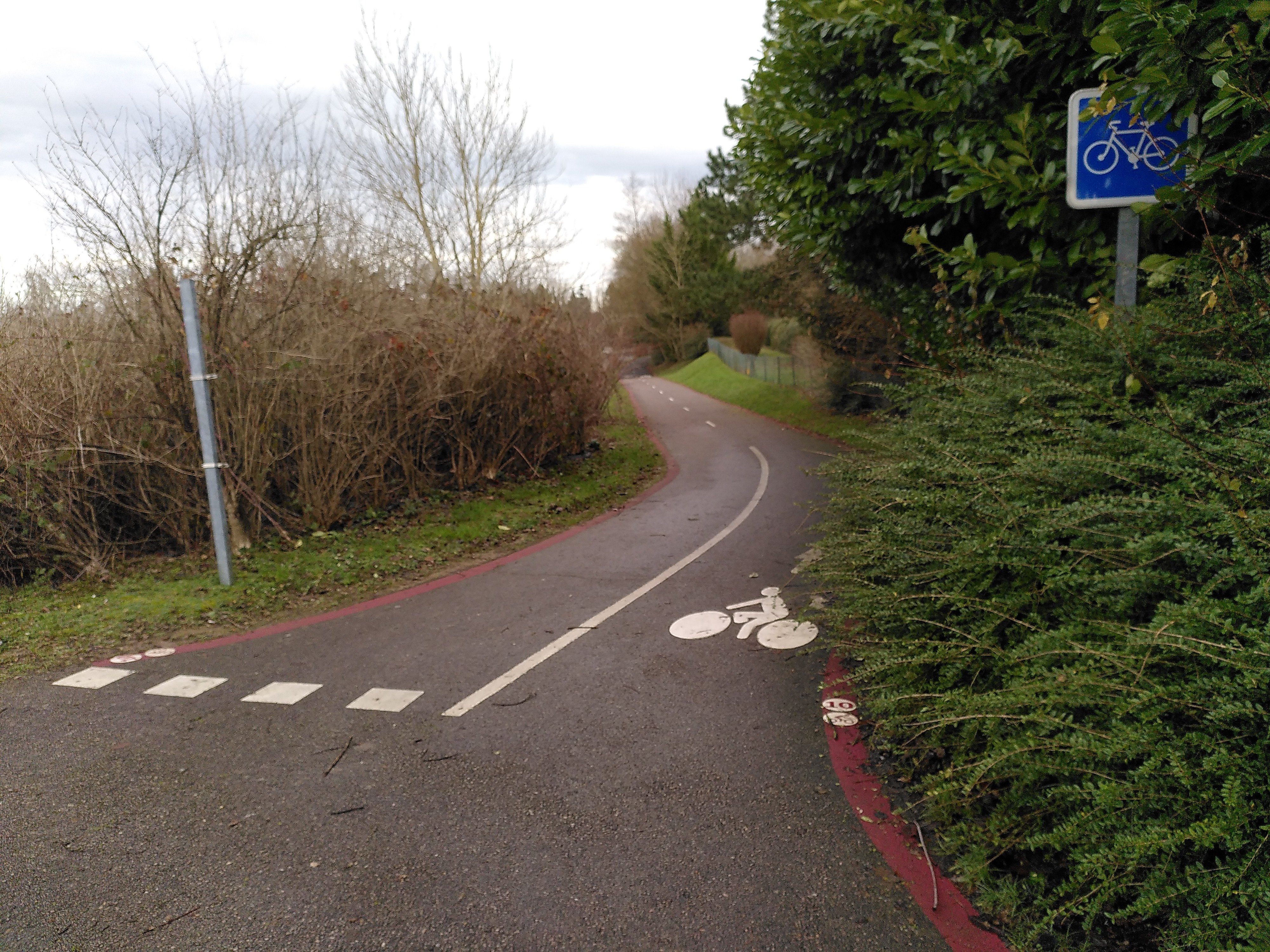 Aperçu de l'itinéraire 10 sur l'avenue du Bois des Dames