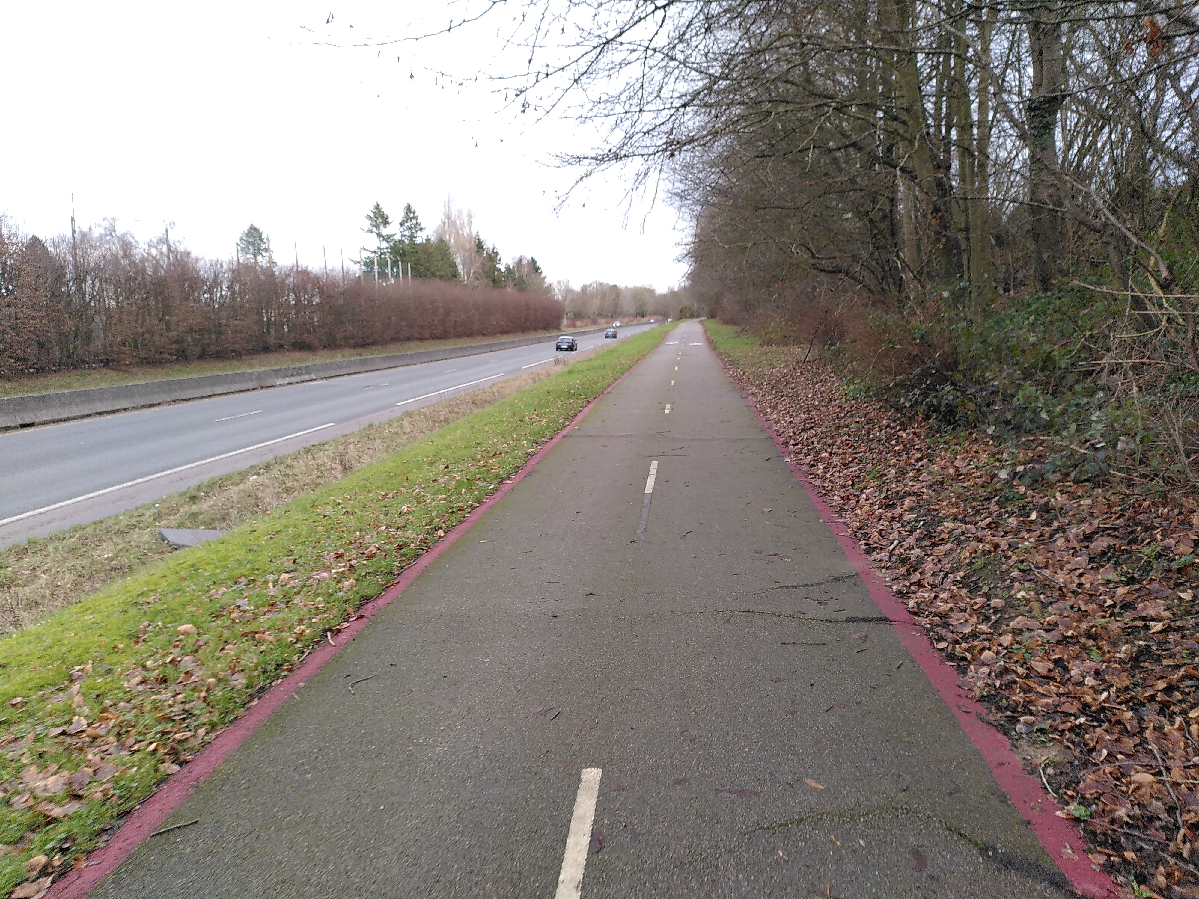 Aperçu de l'itinéraire 10 sur l'avenue du Bois des Dames